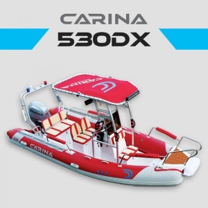 CARINA 530 (카리나)